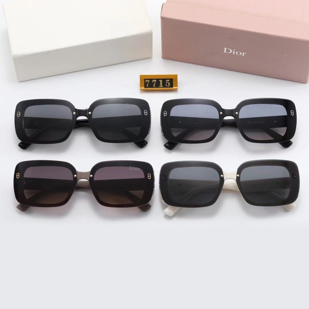 005 Dior Sunglasses - Image 1